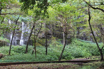 Havre de paix à la Réunion