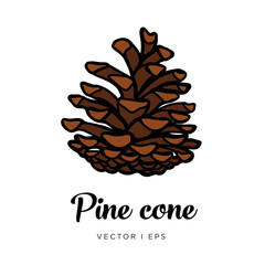Hand drawn vector editable pine cone simple illustration. Christmas decor concept.
