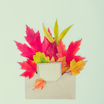 Top view flat lay autumn concept composition. Envelope with blank card and autumn leaves on white background isolated. Mock up for thanksgiving wedding anniversary invitation card. Vintage. Copy space