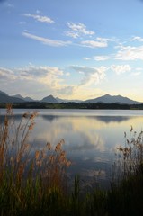 Schilf am Voralpensee