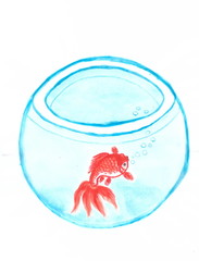 Drawing with watercolors: Red fish in a round aquarium.