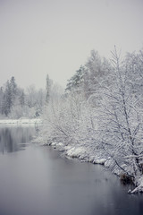 Winter landscape: snow-covered forest on the lake, the reflection of snow trees in the water.