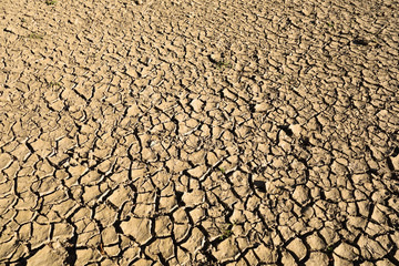 Cracked soil from lack of water