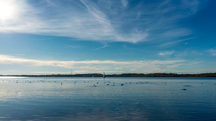 Sail boat and birds on a blue lake, Cospudener Lake in Leipzig, Germany