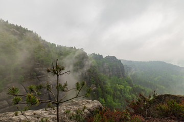 Saxon Switzerland III