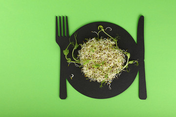 Fresh microgreen salad sprouts on board over green