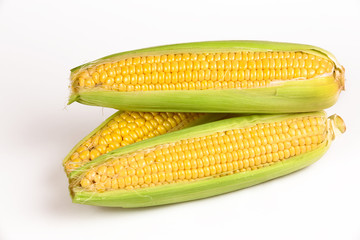 An ear of corn isolated on a white background