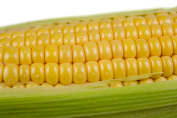 An ear of corn isolated on a white background
