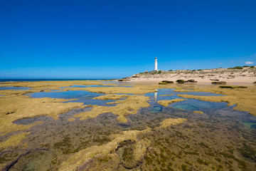 low tide rocky seaside in Trafalgar Cape with lighthouse reflected