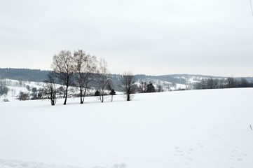 Winter snowy landscape