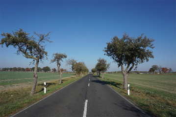 Fototapeta premium long road ahead