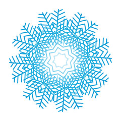 Snowflake ornate