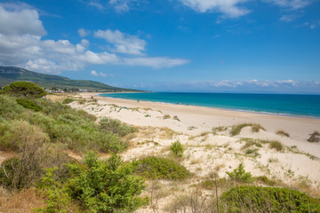 Fototapeta na wymiar landscape of Bolonia Beach in Cadiz from the forest