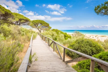 Foto op Plexiglas Bolonia strand, Tarifa, Spanje landschap van voetgangersbrug op strand in Cadiz