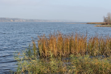 Zbionik Włocławski © Rafa