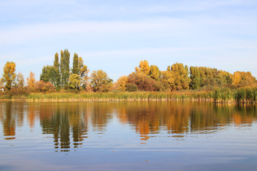 Beautiful pacifying landscape outside the city. The calm water of the lake reflects the colorful autumn trees. Bright colors of autumn. Seasons. November. Natural photo background