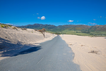sand over old narrow rural road in Cadiz