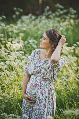 A large portrait of a girl in a beautiful dress on the background of a meado