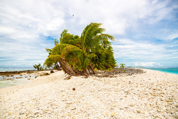 Small remote tropical island (motu) overgrown with palms in azure turquoise blue lagoon. Yellow...