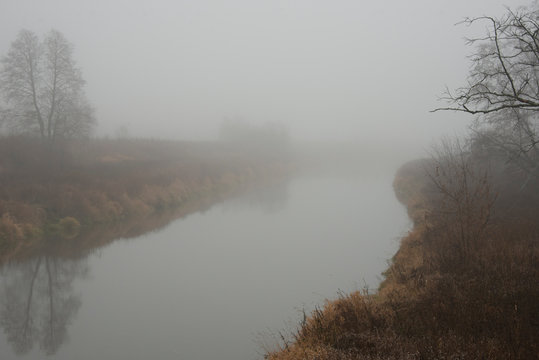 landscape - fog in  late fall