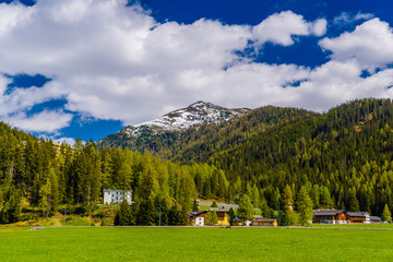 Fototapeta na wymiar Alps mountains covered with pine forest, Davos, Graubuenden, Switzerland
