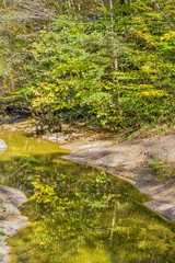 Forest stream in the autumn mountains