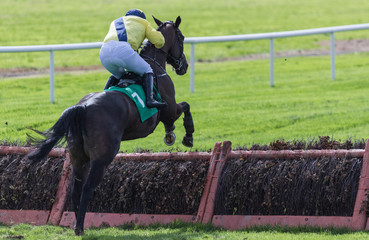 Jockey and race horse jumping a hurdle on the race track