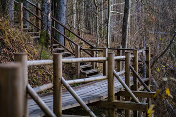 Fototapeta premium wooden plank bridge over water in forest