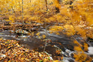 Fall stream