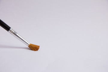 Pincel en lienzo en blanco