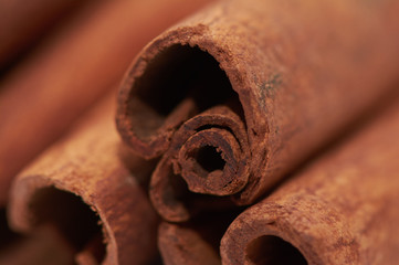 Cinnamon sticks close up