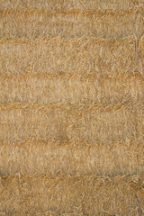 Fototapeta premium Textura paja