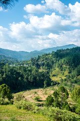 Stepping Fields in Bageshwar, Uttarakhand, India