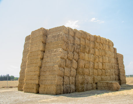 Pila de pacas de paja