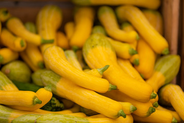 yellow squash