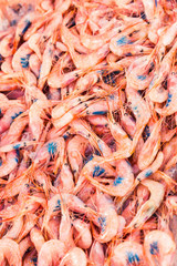 Fresh shrimp in ice, on sale in the market. Many varieties of shrimp, from the sea and ocean. It is an ingredient for making delicious dishes. Showcase in the fish restaurant. Many vitamins