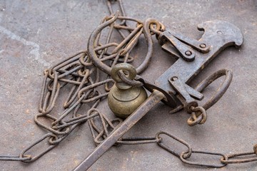 rusty scales in the farm