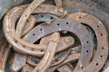 old  Horseshoe at garage sale