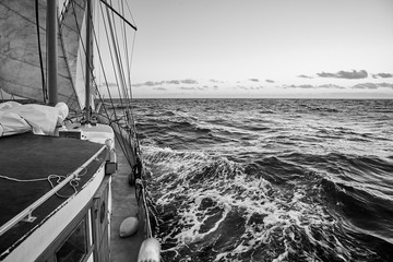 Black and white picture of an old sailing ship cruise.