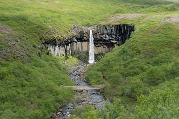 Svartifoss Wasserfall in Island in gr&uuml;ner Einrahmung