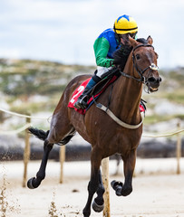 Close-up of jockey and race horse galloping on the beach