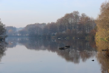  The morning mist on the river makes the river banks mysterious