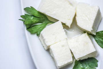 White cheese cubes with mint leafs close up