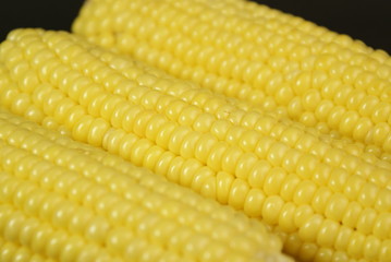 Fresh corns close up