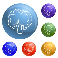 Natural broccoli icons set vector 6 color isolated on white background