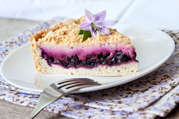 Piece of blueberry cake on a plate