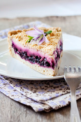 Piece of blueberry cake on a plate