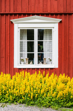 Schwedenhaus, Fenster mit gelben Stauden