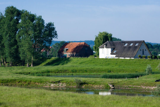 Houses at Ooijpolder in Spring
