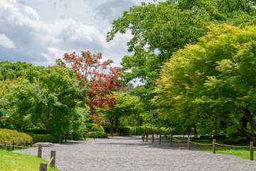 東寺の自然